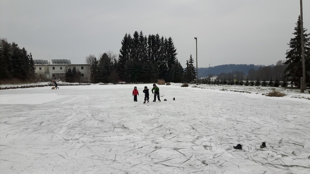 Eislaufen am Locker Teich 08.01.2017 (c) Steininger (1)