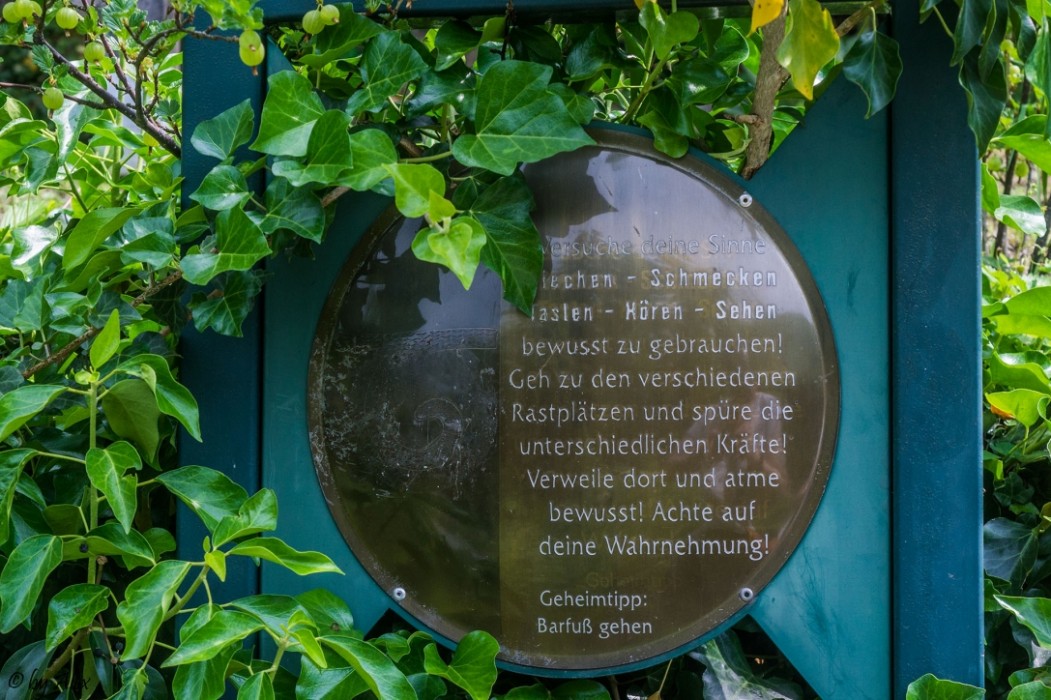 Kräutergarten (c) Alexandra Wagner