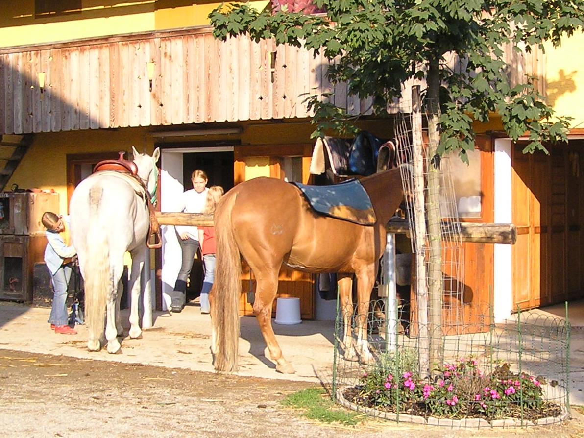 Reiten Painted Horse Range