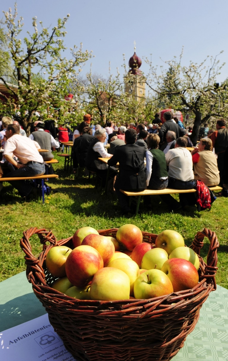 Apfelbluetenfest an der Apfelstraße